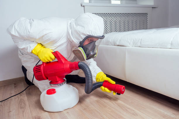 Reliable South Holland, IL Pest Control Solutions