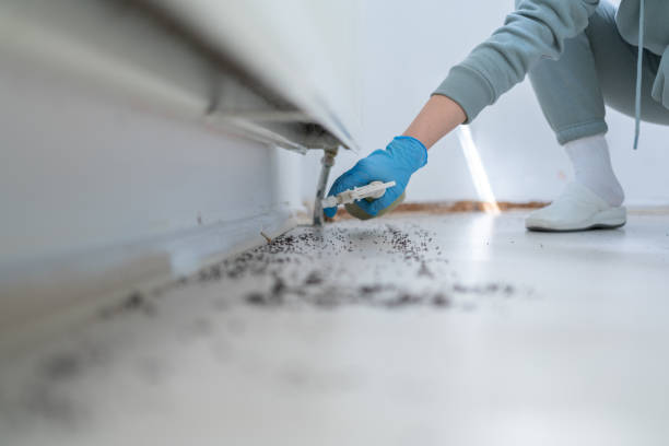 Best Commercial Pest Control Services  in South Holland, IL